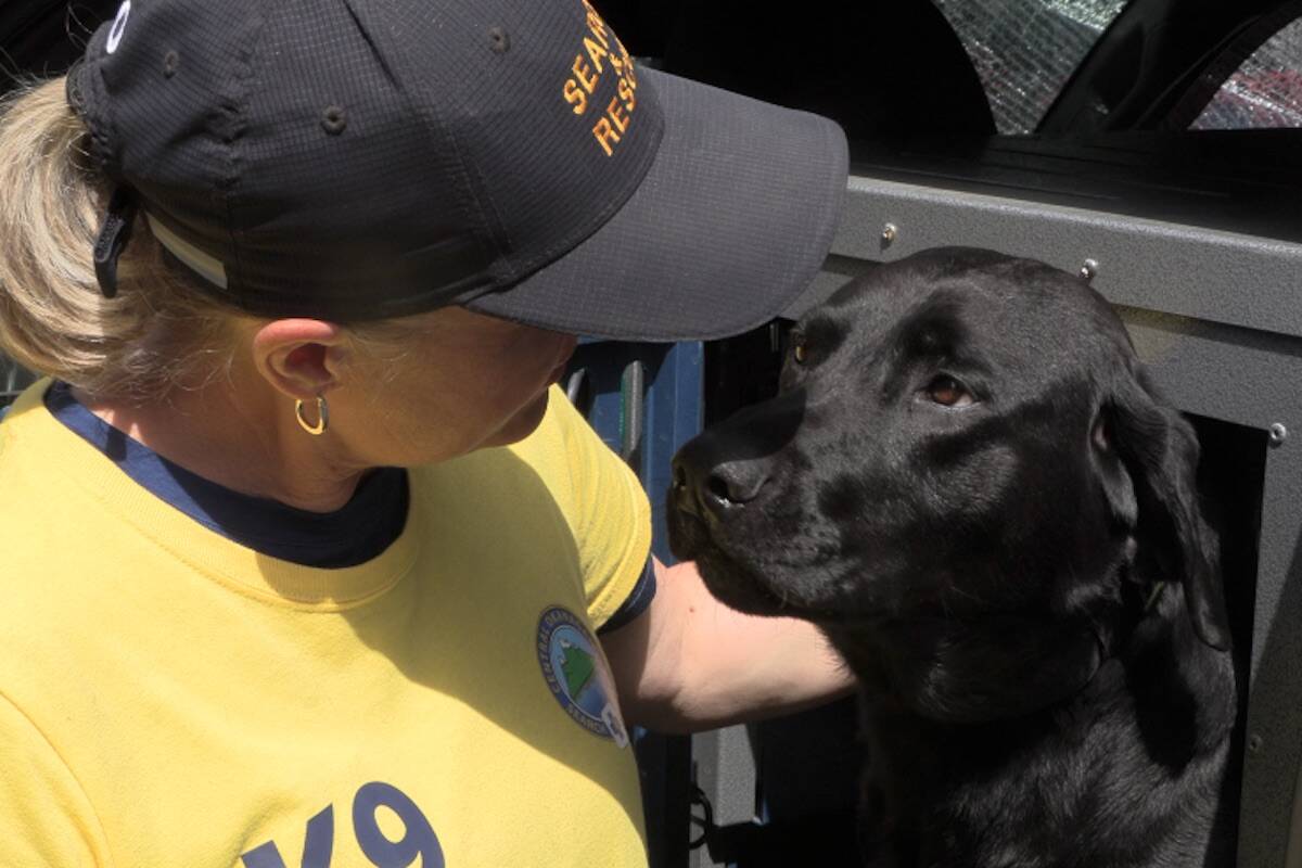 Chase and handler Terry Downs are part of Central Okanagan Search and Rescue (Brittany Webster - Capital News)