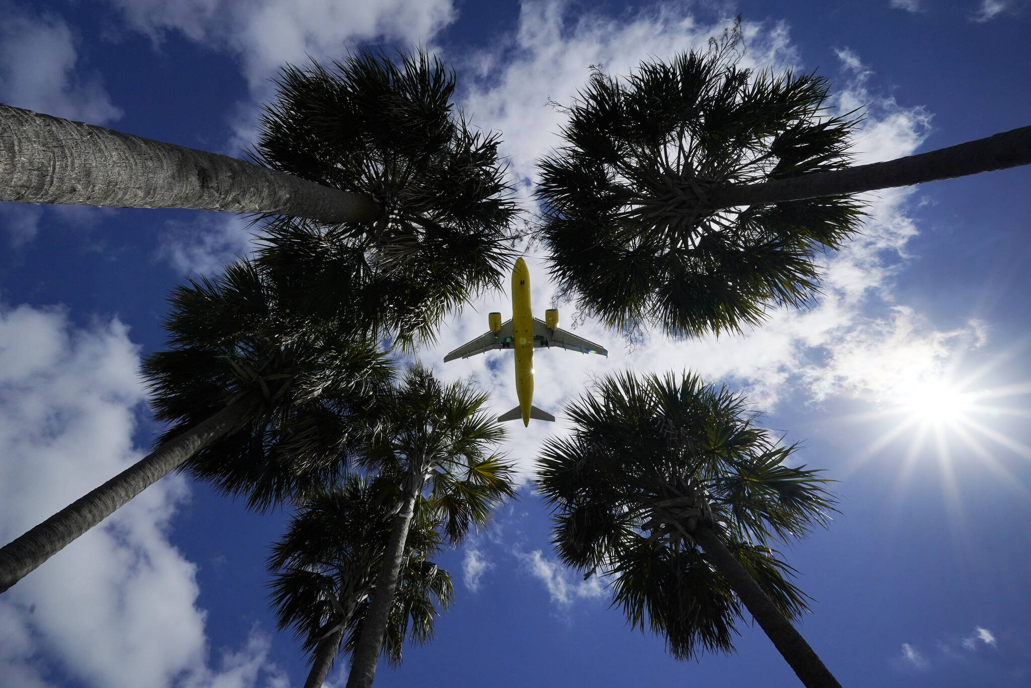 An airliner lands at Tampa International Airport Friday, March 19, 2021 in Tampa, Fla. (AP Photo/Gene J. Puska, File)
