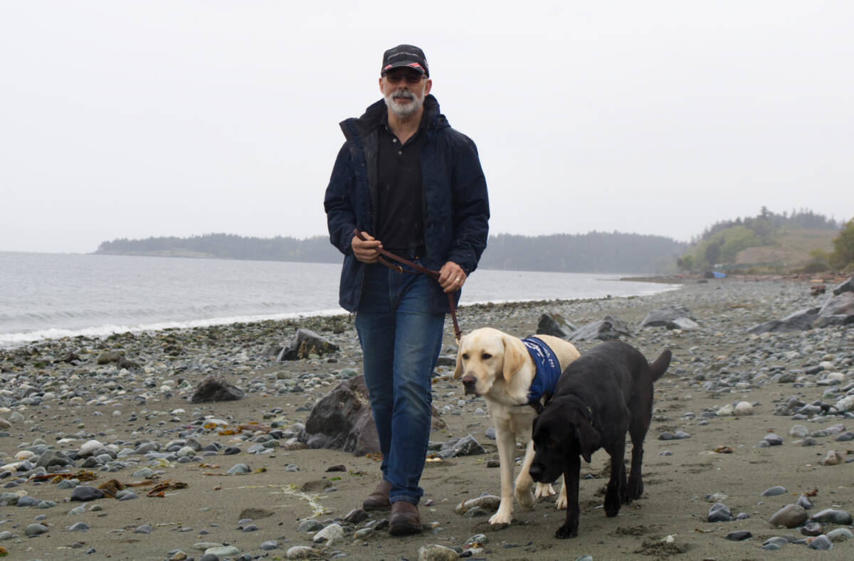 Karl Hoener walks his dog, Sherry, a black Labrador, and Kyle, a B.C.-Alberta guide dog trainee he and his wife Jennifer are temporarily looking after, on the beach in Colwood recently. (Bailey Moreton/News Staff)
