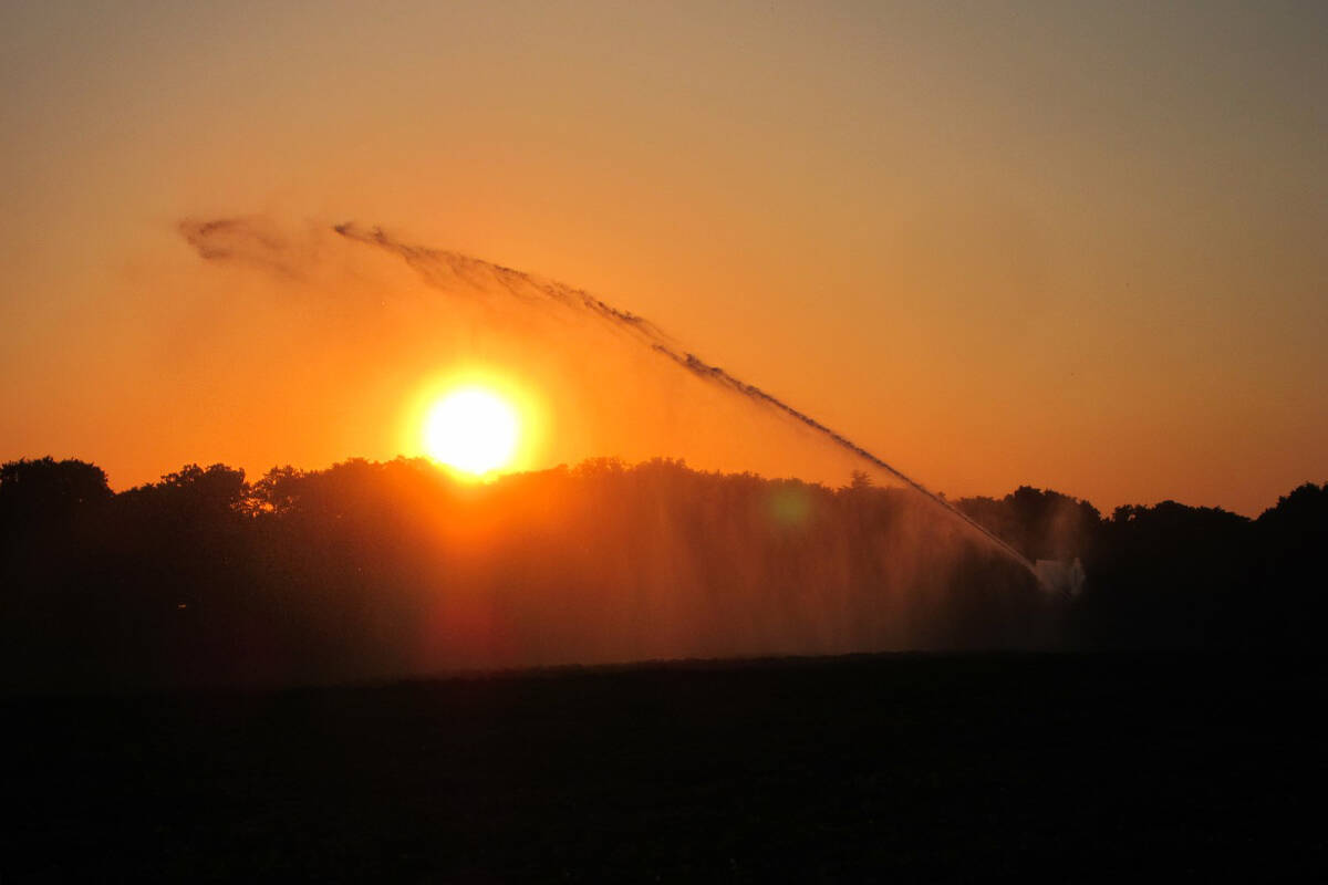 Many cities across B.C. recorded the hottest days of their histories during the ‘heat dome’ heatwave that blanketed much of the Pacific Northwest at the end June, 2021. (Black Press Media file photo)