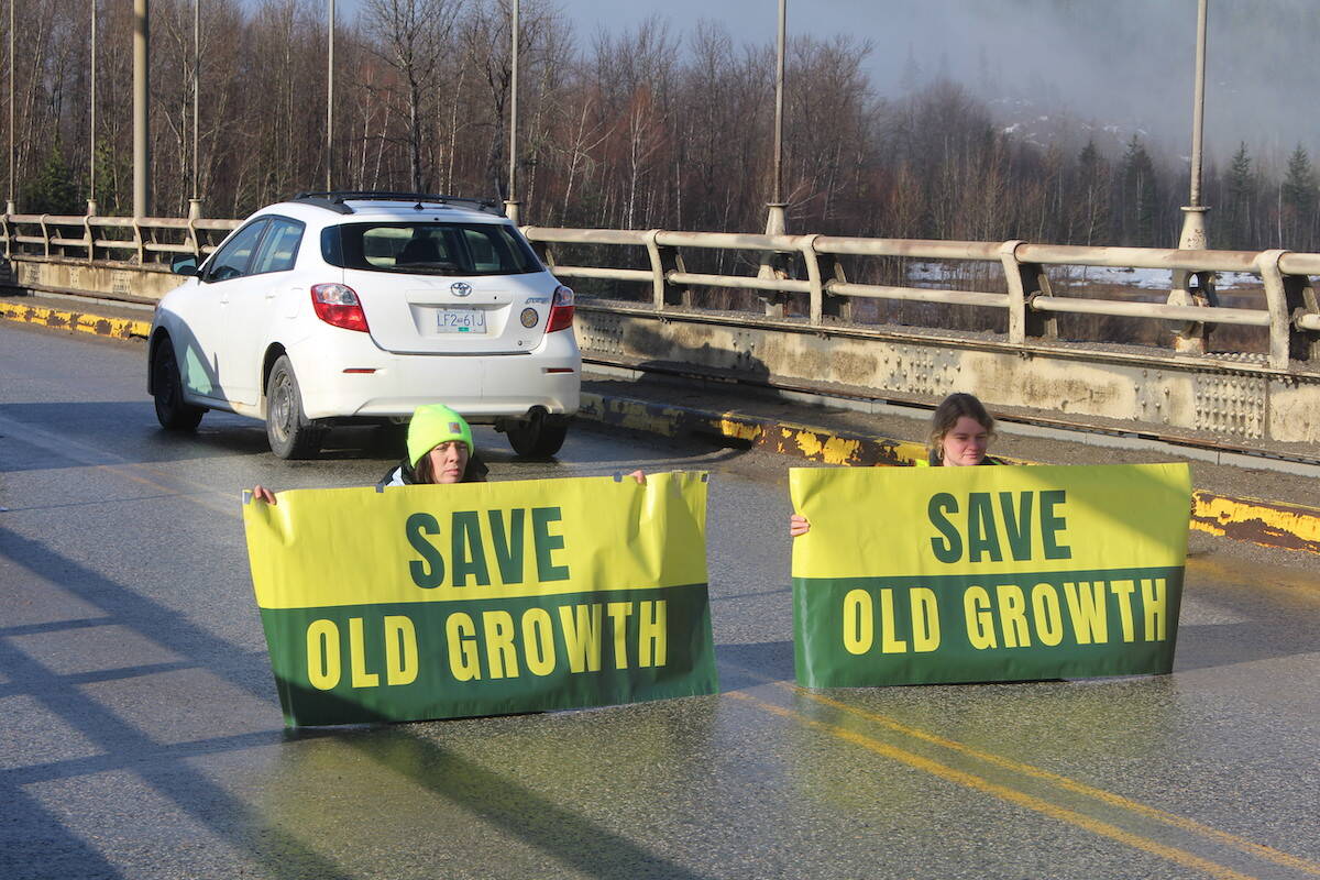 Two Save Old Growth protesters blocking Highway 1 at the Columbia River Bridge in Revelstoke. The group’s co-founder Zain Haq says he’s gone into hiding out of fear of deportation. (Josh Piercey/Revelstoke Review)
