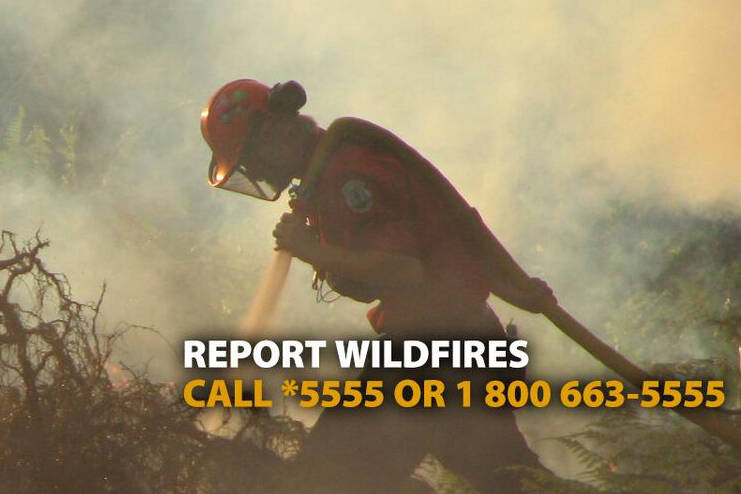 B.C. Wildfire Service crews are working on and monitoring spot-sized fires in the North Okanagan region. (@BCGovFireInfo photo)