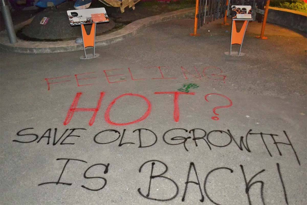 Save Old Growth announced its impending return to action with a series of vandalism across Vancouver July 28. On Aug. 2, the group ran its first traffic blockade in a month near Stanley Park. (Save Old Growth website/screenshot)