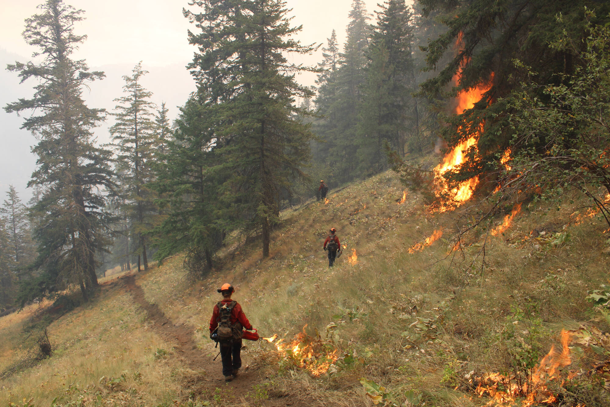 BC Wildfire Service firefighters set hand ignitions along the edge of the Keremeos Creek Wildfire to control burn-off fuel. (BCWS)