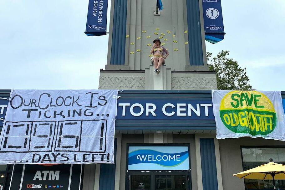 A Save Old Growth supporter sits atop the Victoria visitor centre Aug. 9 in a protest against old-growth logging in B.C. (Justin Samanski-Langille/News Staff)