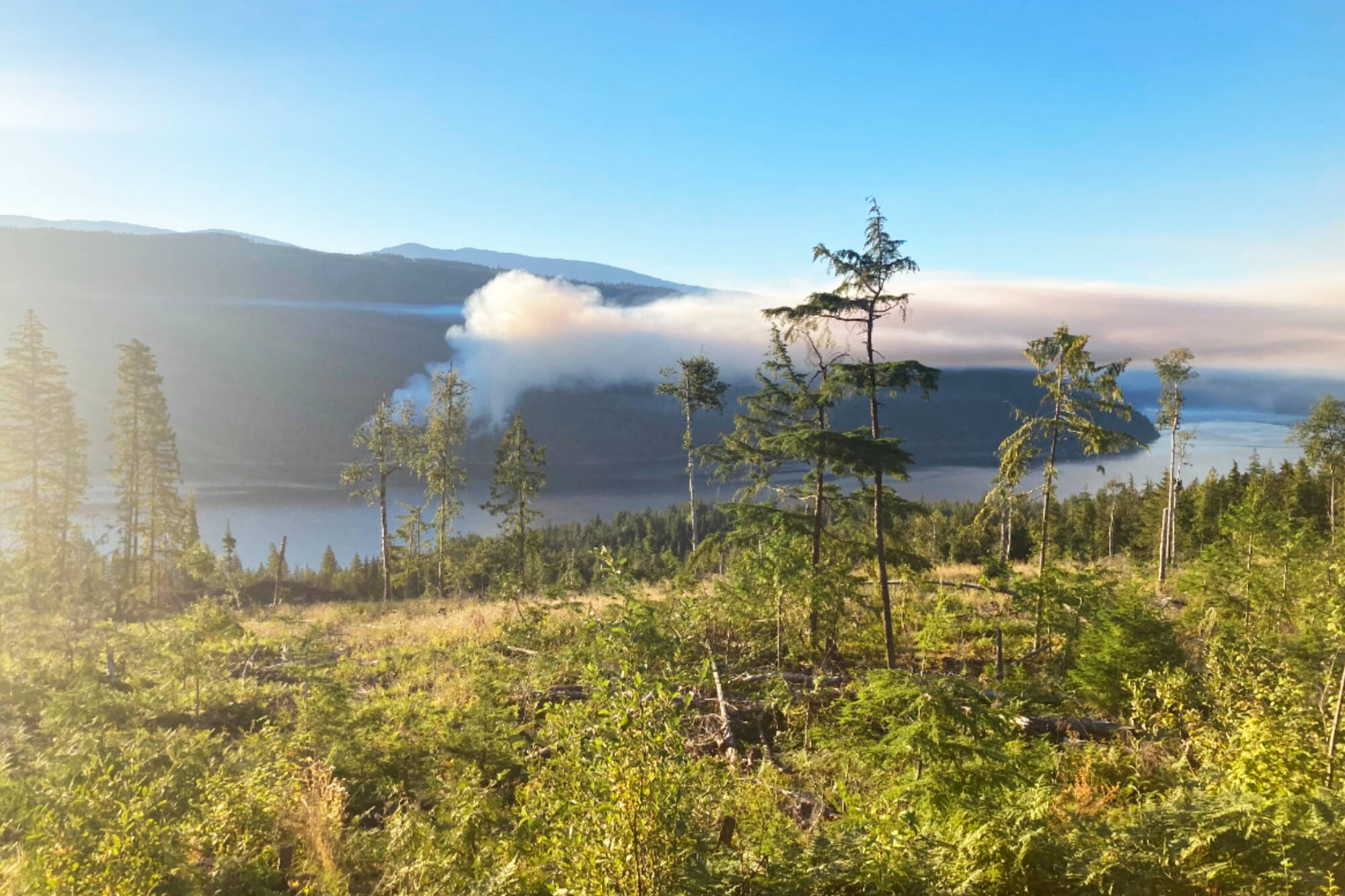 The BC Wildfire Service is responding to the Mount Grice-Hutchinson wildfire, about 20 kilometres south of Seymour Arm, on Thursday, Aug. 18, 2022. (BC Wildfire Service photo)