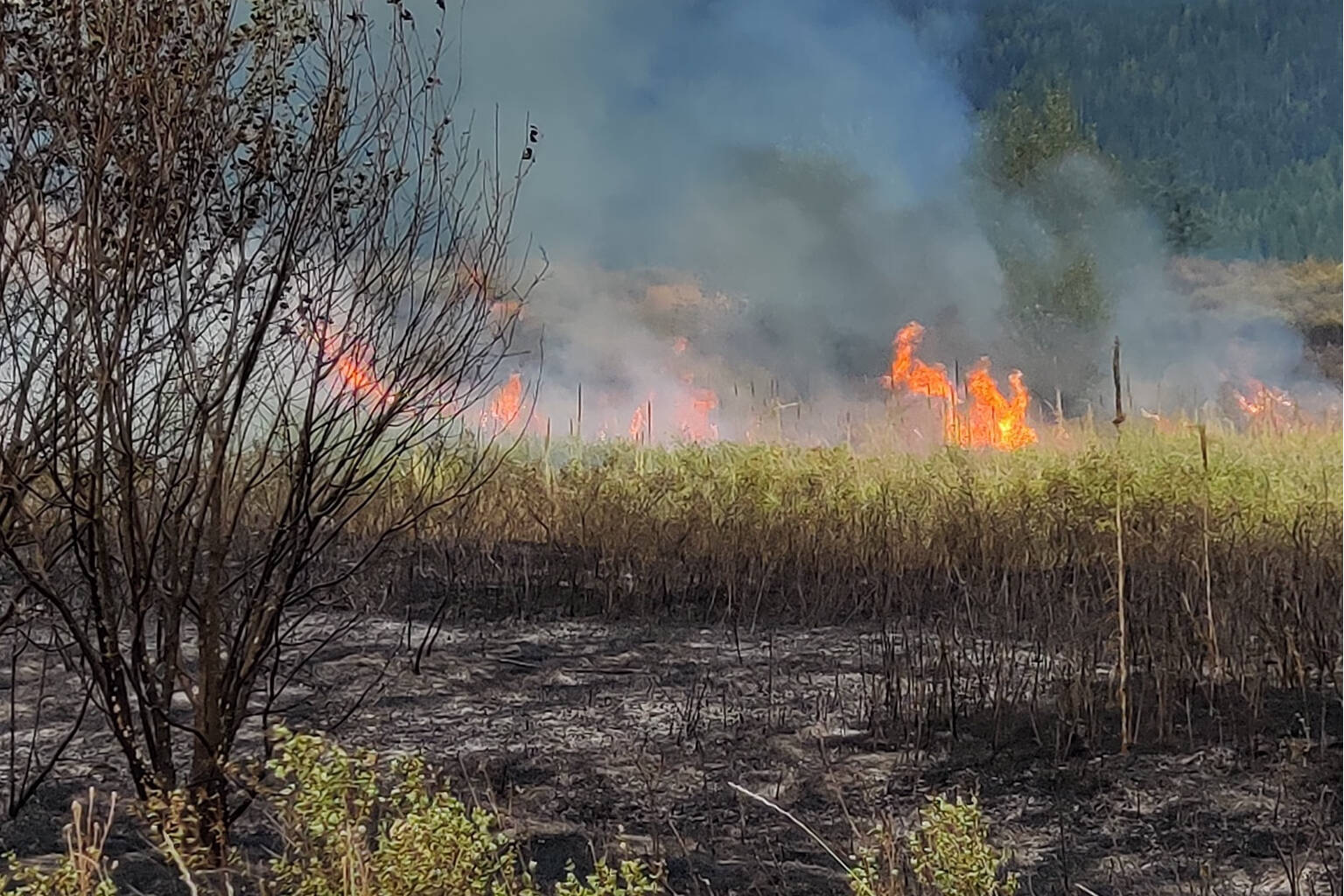 The Cosens Creek wildfire in Kalamalka Lake Provincial Park in Coldstream, which began Friday, Aug. 19, has been classified as out as of Sunday, Aug. 21. (Coldstream Fire Department photo)