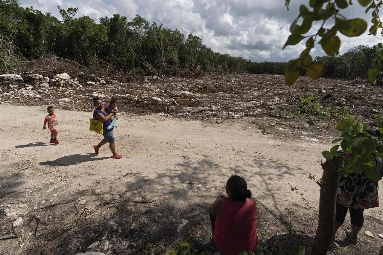 Lidia Caamal Puc sits on a dirt road in her community of “Vida y Esperanza,” or Life and Hope, where forest was cleared for the Maya Train route in Quintana Roo state, Mexico, Friday, Aug. 5, 2022. “I think that there is nothing Maya” about the train, said Puc. “Some people say it will bring great benefits, but for us Mayas that work the land, that live here, we don’t see any benefits. Rather, it will hurt us, because, how should I put it, they are taking away what we love so much, the land,” she said. (AP Photo/Eduardo Verdugo)