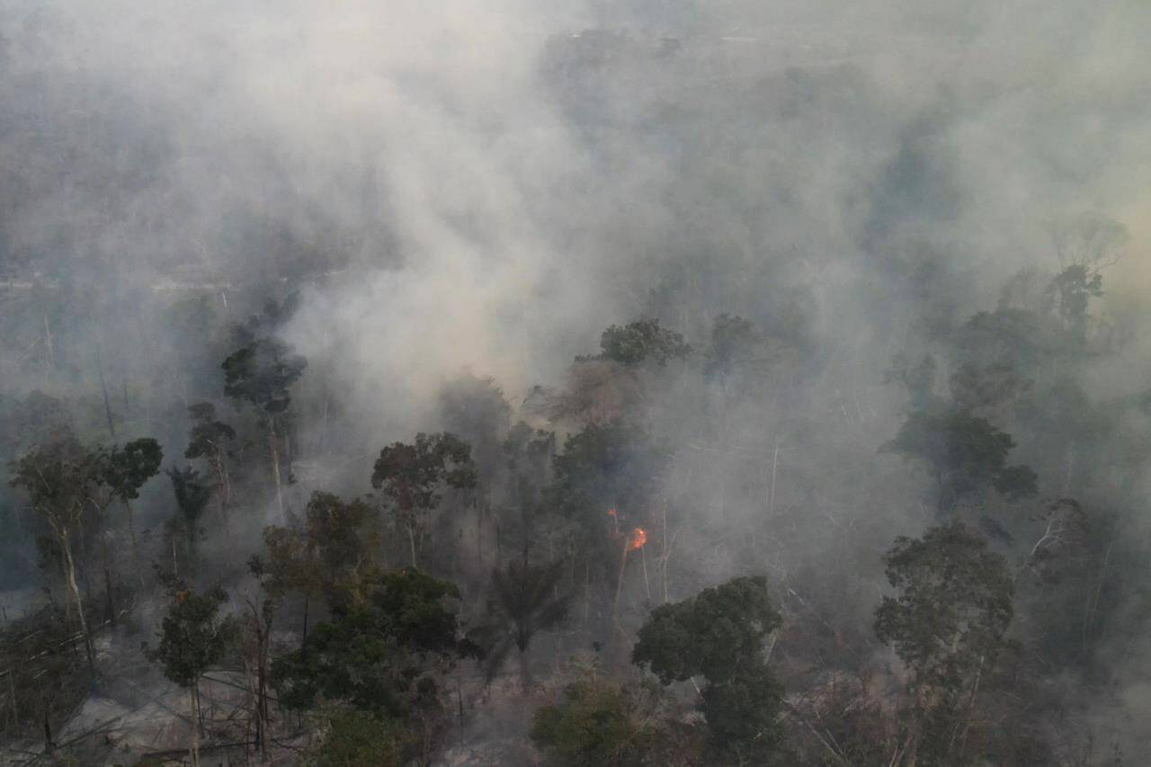 Smoke rises from forest fires in the region of Novo Progresso, in Pará, Brazil, on Aug. 21, 2022. Novo Progresso is west of an illegal dirt road that´s ripping through protected areas and is now just a few miles shy of connecting two of the most destroyed areas in Brazil’s Amazon. (Andre Muggiati via AP)