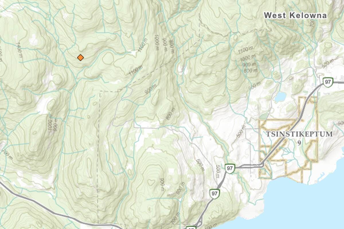 The cause of the blaze is unknown, and it is only 0.01 hectares in size. (Photo/BCWS)