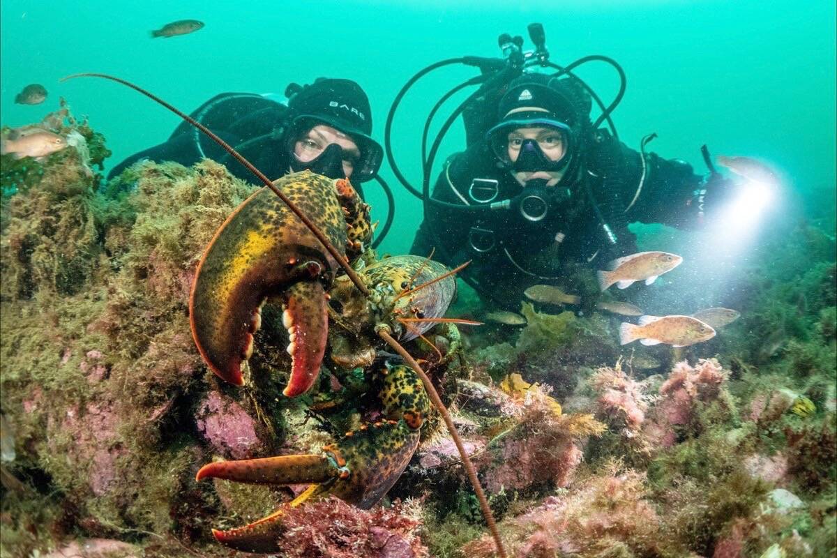 Krystal Janicki (left) and Tiare Boyes pose for a photo with a lobster during a dive in the waters of Gros Morne National Park on the west coast of Newfoundland. (Russell Clark/RCGS)