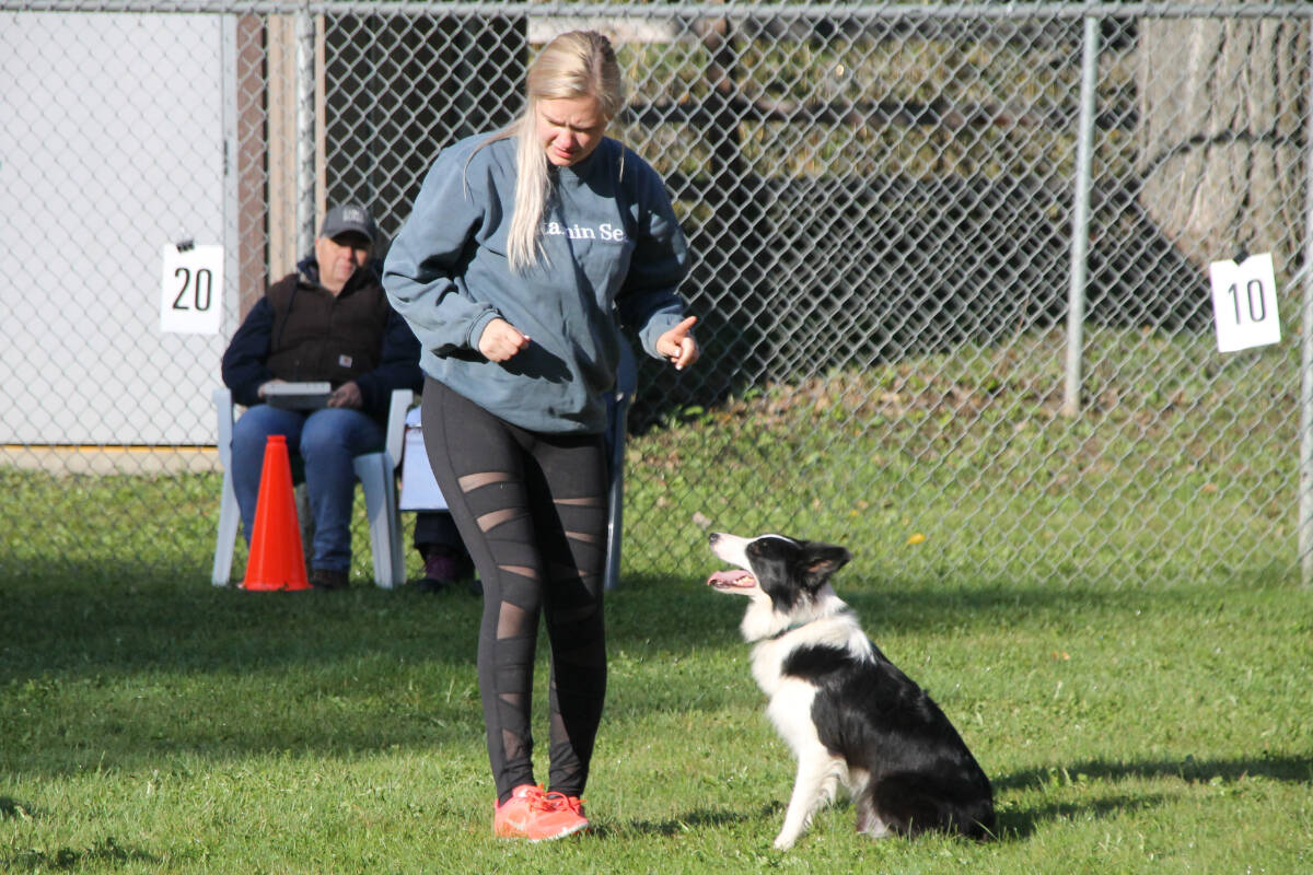Enderby’s Amanda Pollock has her border collie, Poser, sit at attention before taking on the course in a game of Gamble at the Dog’O’Pogo Dog Agility Trials Sunday, Sept. 18, at the Lumby Lions Campground. (Roger Knox - Morning Star)