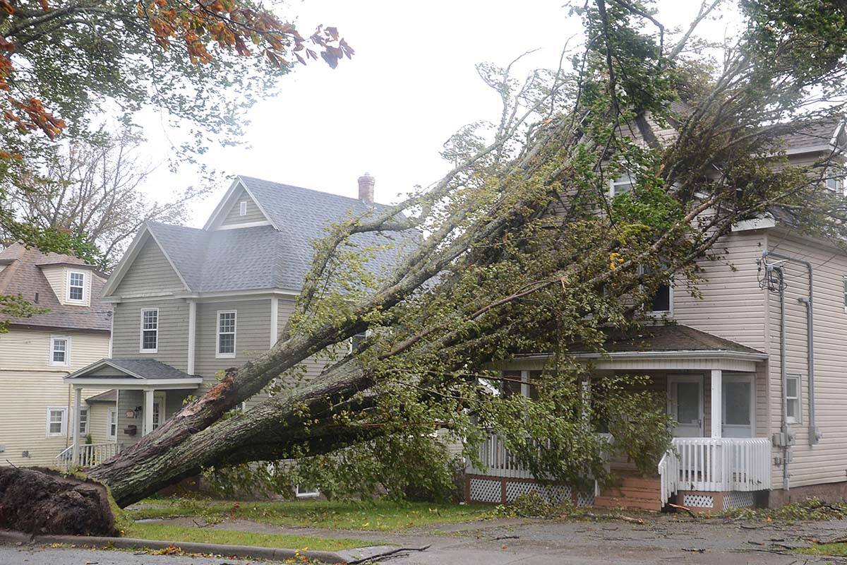 Fallen trees lean against a house in Sydney, N.S. as post tropical storm Fiona continues to batter the Maritimes on Saturday, September 24, 2022. THE CANADIAN PRESS/Vaughan Merchant