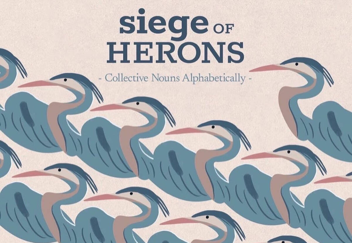 Author Ramona Wildeman, who moved to Kimberley earlier this year, has been selected as one of three finalists in the Children’s Book category for the Canadian Book Club Awards for her book, “Siege of Herons - Collective Nouns Alphabetically.”