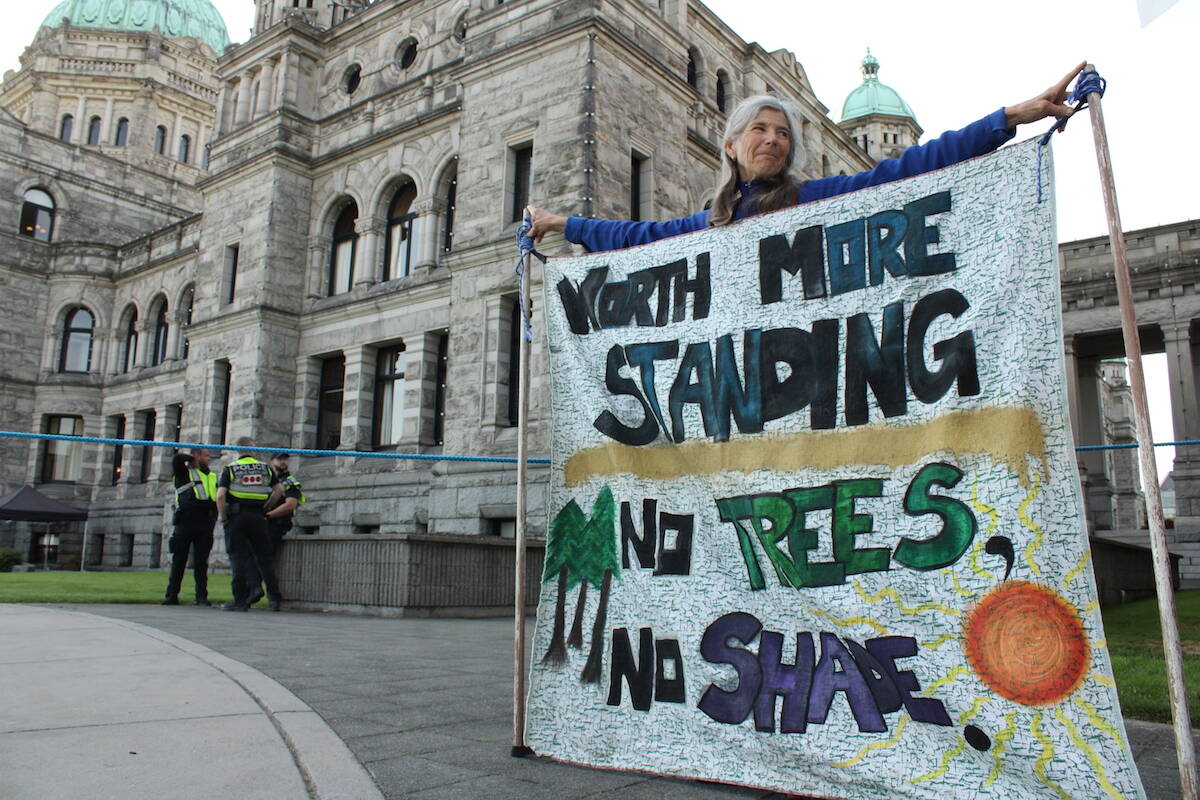 A demonstrator who showed up outside the B.C. legislature on Oct. 3, the first day of the fall session, to call for an end to old-growth logging. (Jake Romphf/News Staff)