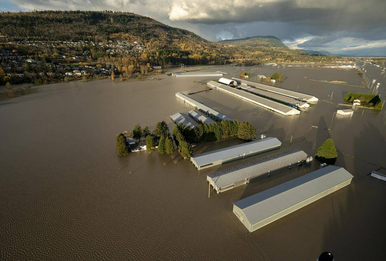 Rising flood waters are seen surrounding barns in Abbotsford, B.C., Tuesday, Nov. 16, 2021. B.C.’s Ombudsperson is hoping to speak with people who were impacted by 2021 floods and wildfires to determine how well the government responded. (THE CANADIAN PRESS/Jonathan Hayward)