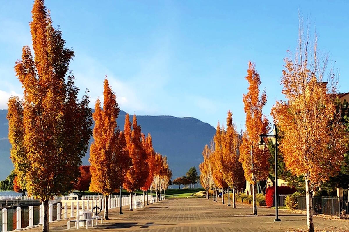 Fall in Kelowna, B.C. Joined by Penticton and Summerland, the city set an all-time heat record for the day of Oct. 11 this Thanksgiving. (Contributed)