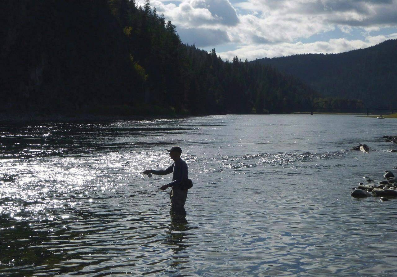 A fly fisherman casts on the Kootenai River, downstream from Lake Kookanusa, a reservoir that crosses the border between the U.S. and Canada, on Sept. 19, 2014. First Nations and environmentalists are angry the federal and British Columbia governments continue to stonewall American requests for a joint investigation of cross-border contamination from coal mining in southern B.C.'s Elk Valley. THE CANADIAN PRESS/AP-The Spokesman Review, Rich Landers