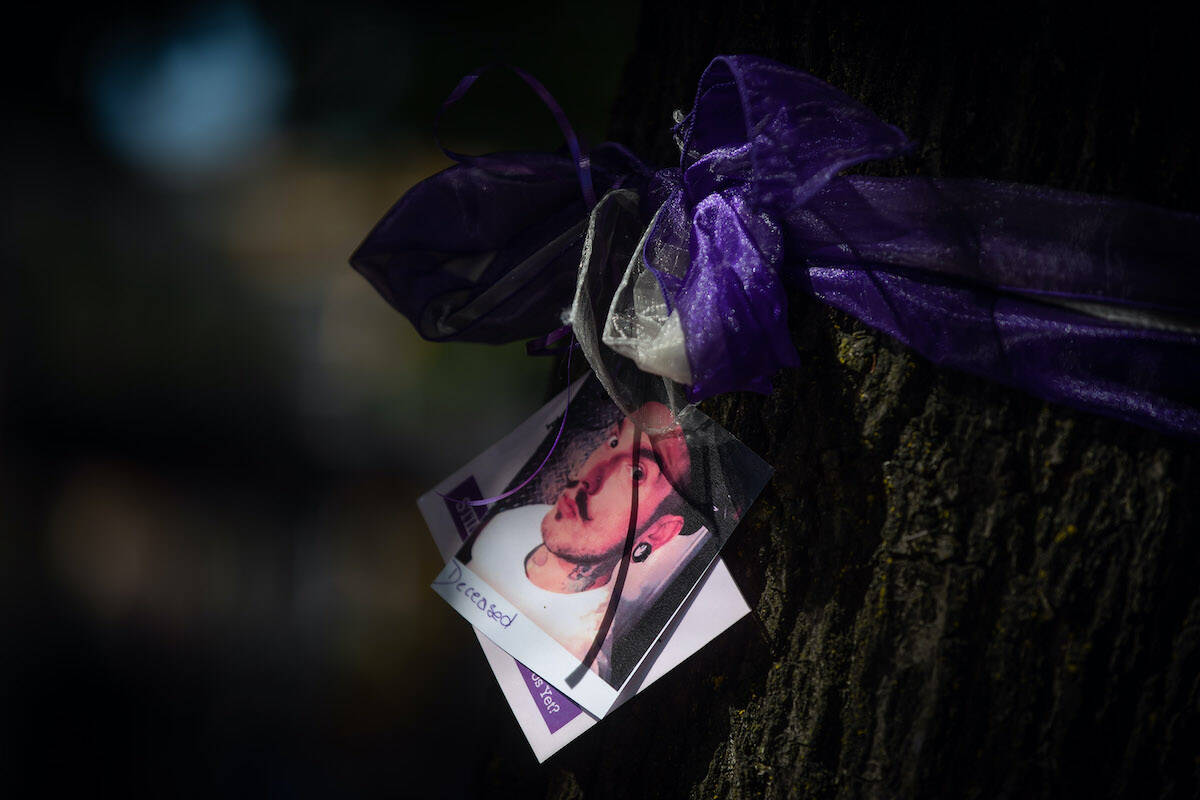 A photograph of a person who died due to an illicit drug overdose is tied to a tree with a purple ribbon by members of Moms Stop the Harm, in Vancouver, on Tuesday, August 16, 2022. THE CANADIAN PRESS/Darryl Dyck