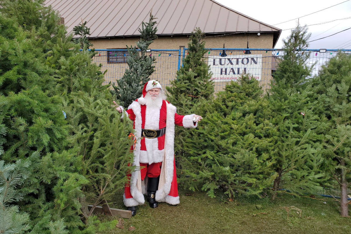Santa poses in front of Christmas trees in 2021. This year, Happy Holidays Christmas Tree Co. will open Nov. 27 at the Luxton Fairgrounds. (Courtesy of Happy Holidays Christmas Tree Co.)