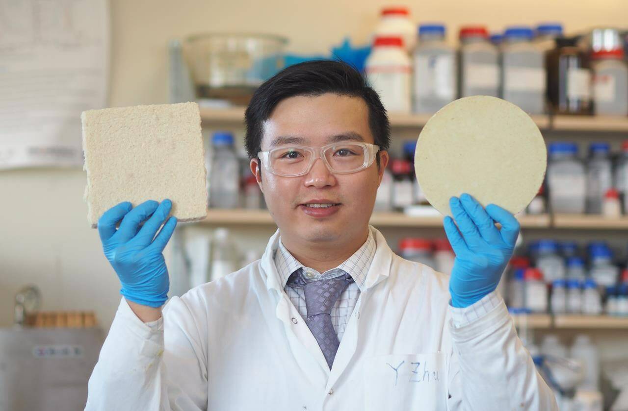 University of British Columbia post-doctoral fellow Yeling Zhu shows samples of biofoam, a biodegradable packing foam made from wood waste, in a Nov. 5, 2022, handout photo. THE CANADIAN PRESS/HO-UBC, Lou Bosshart