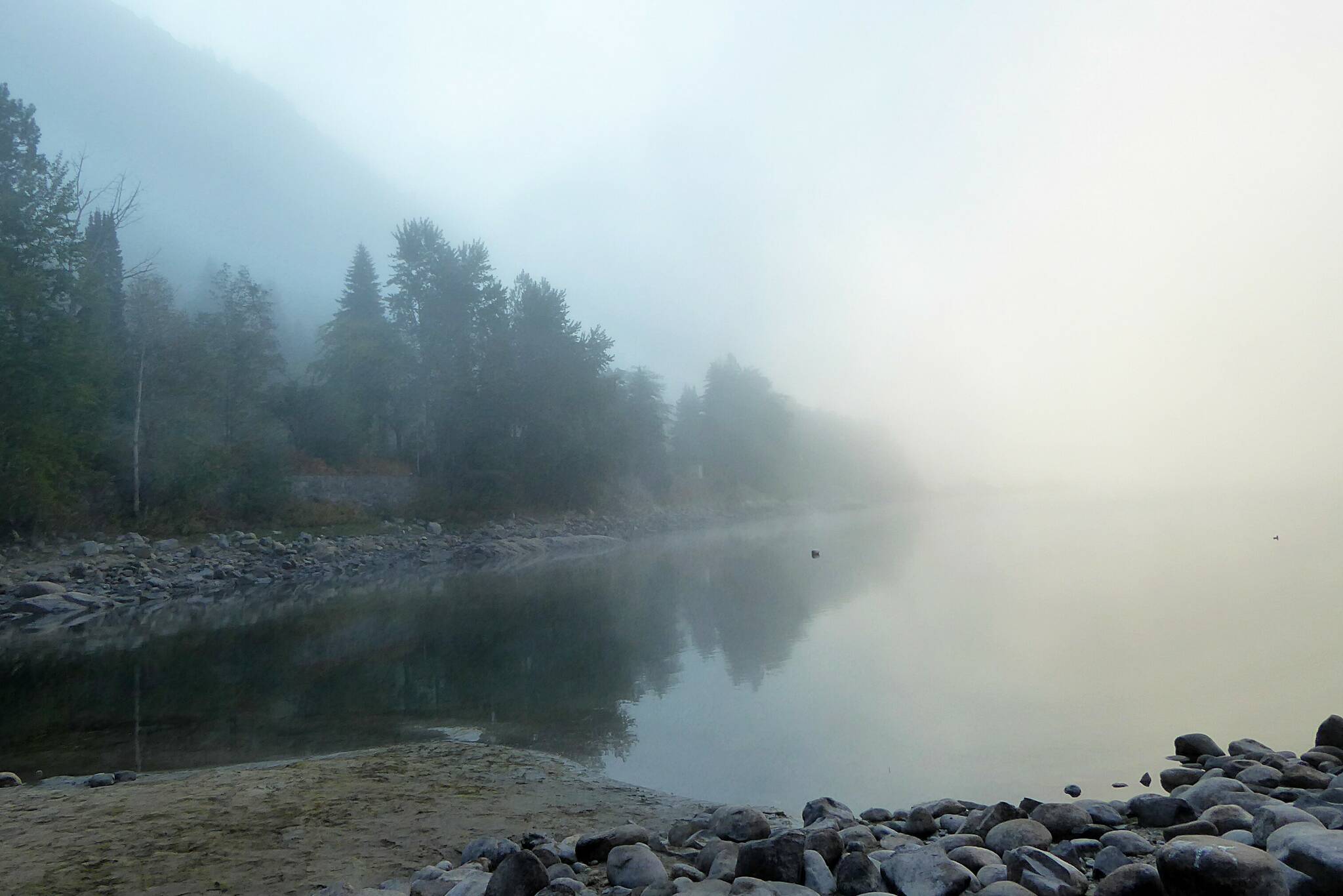 Photo of an early morning fogscape along the Columbia River near Trail. Photo: David Dudeck