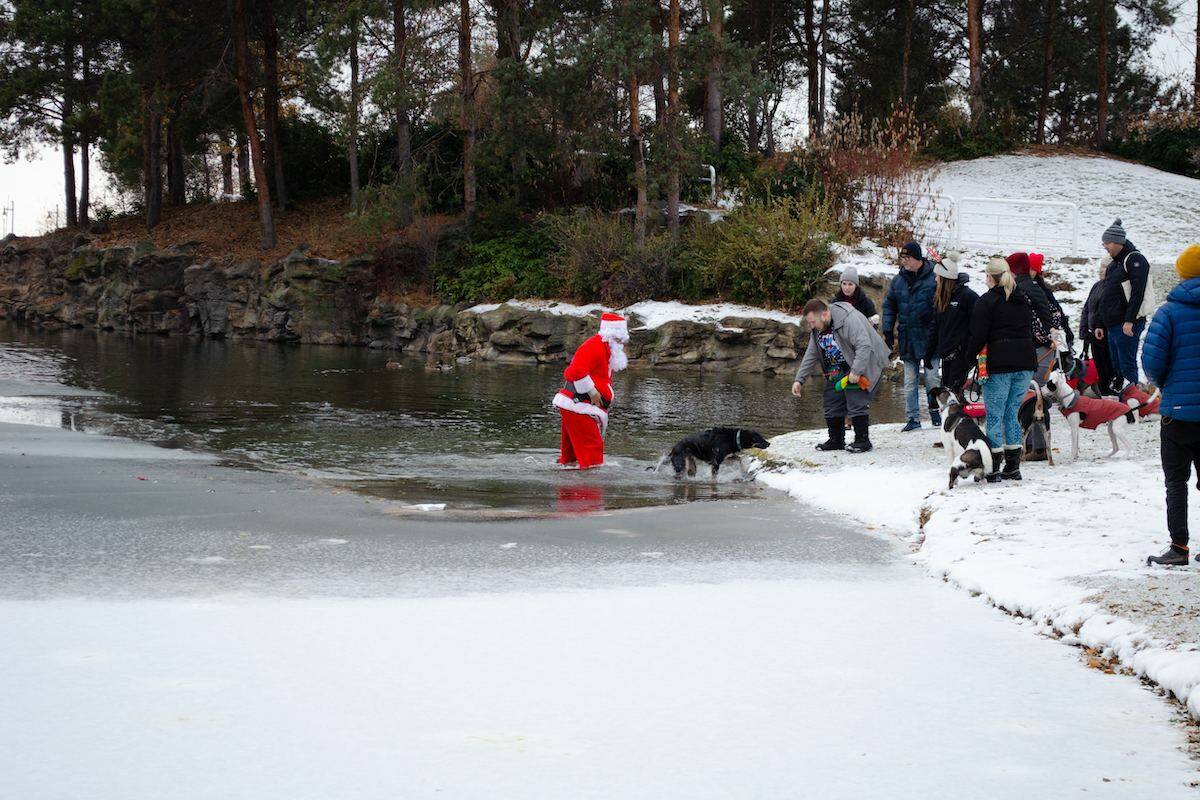 Wayne Dorman, dressed as Santa, jumped in to save a dog after it had fallen through the ice on Okanagan Lake near Kelowna’s downtown. (Contributed)