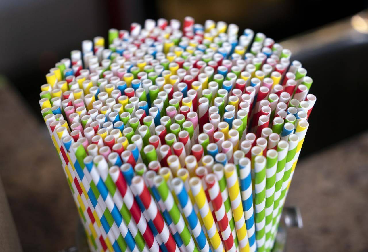Paper straws are seen at a market in Montreal on Thursday, June 13, 2019. Canada’s ban on the manufacture and import for sale of some plastic items, including grocery bags and straws, has taken effect.THE CANADIAN PRESS/Paul Chiasson