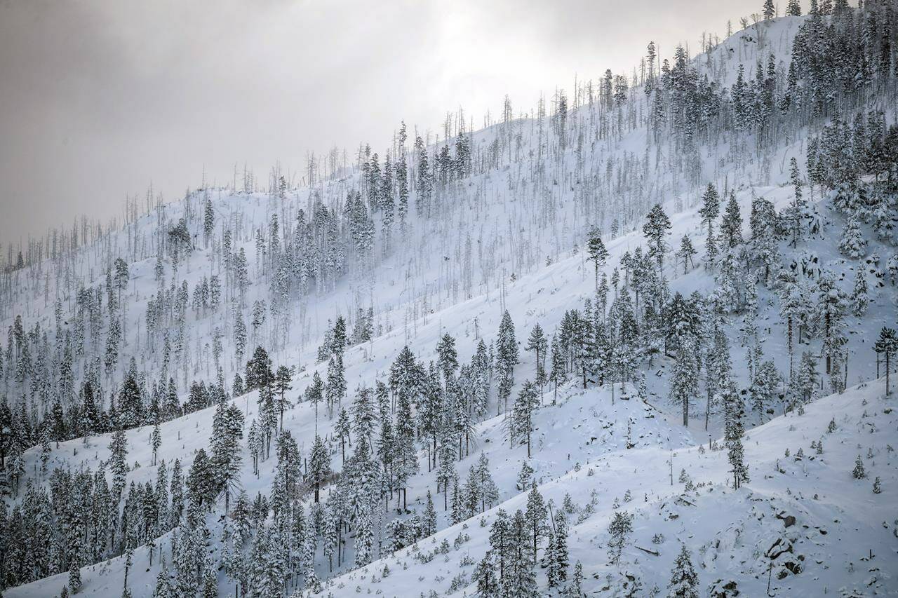 A coat of fresh snow is seen on a mountain the morning after a winter storm pelted the region with a large amount of snow, in South Lake Tahoe, Calif., Sunday, Jan. 1, 2023. (Stephen Lam/San Francisco Chronicle via AP)