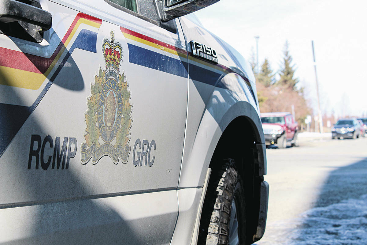 Penticton Animal Control with help from the owner picked up the runaway dog that escaped during a police traffic stop on Jan. 2. (File photo)