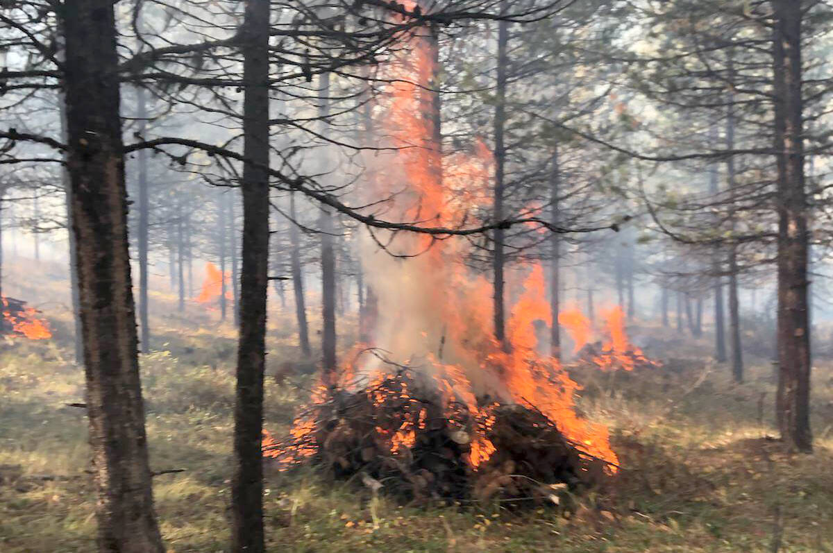 A provincial promise of $50 million holds the promise of making use of low-value wood that would otherwise by burned. (Photo courtesy of Cranbrook Fire & Emergency Services).
