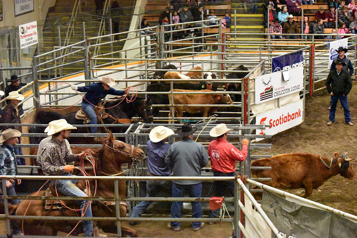 The Williams Lake Indoor Rodeo will be missed. (Williams Lake Tribune file photo)