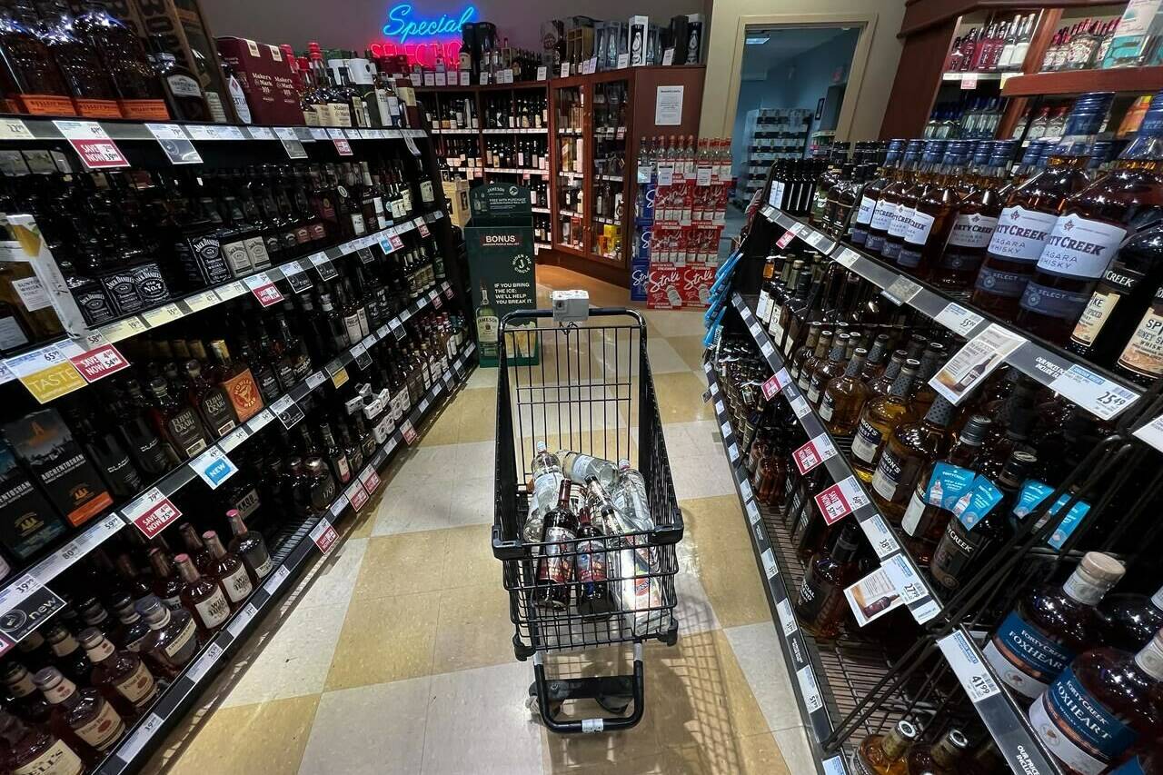 A person’s purchases are seen in a shopping cart at a government-run BC Liquor Store in Vancouver, on Friday, August 19, 2022. Politicians in charge of provincial liquor corporations aren’t hurrying to adopt or promote updated guidelines that advise a steep drop in Canadian drinking habits. THE CANADIAN PRESS/Darryl Dyck