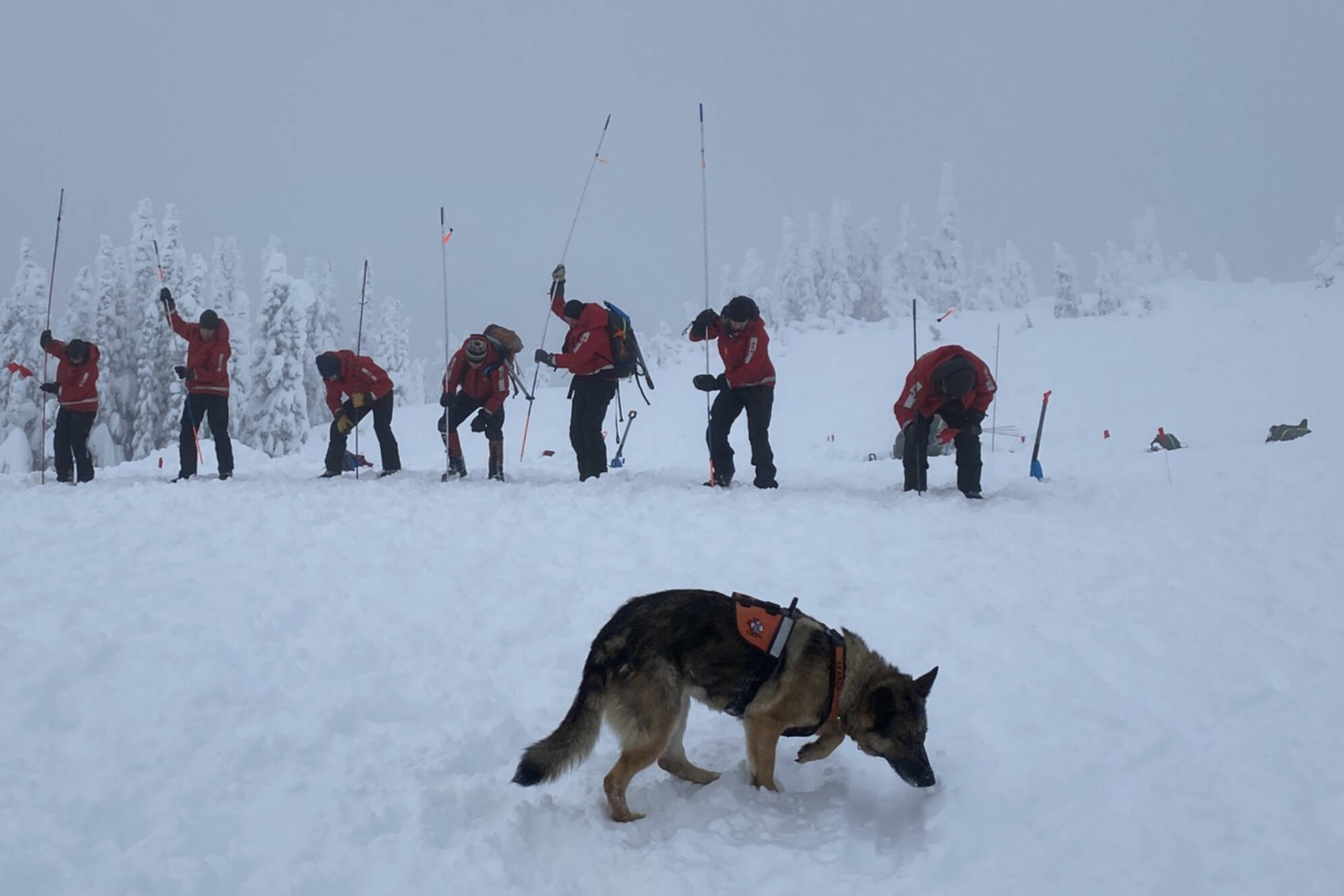 Shuswap Search and Rescue volunteers practise their avalanche rescue skills in January 2023. (Shuswap Search and Rescue- Facebook)