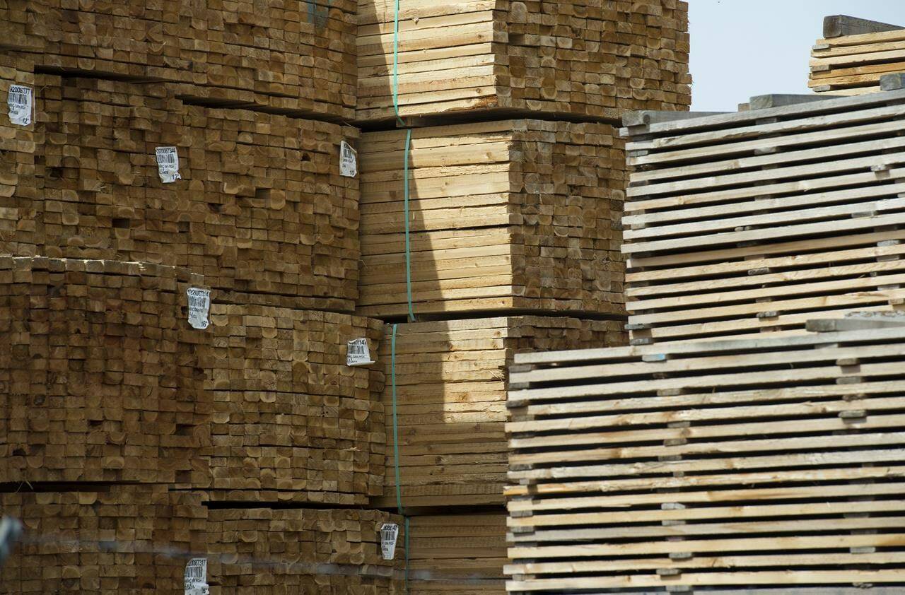 B.C. government promises to fight preliminary plans by U.S. officials to extend tariffs on softwood lumber. THE CANADIAN PRESS/Jonathan Hayward