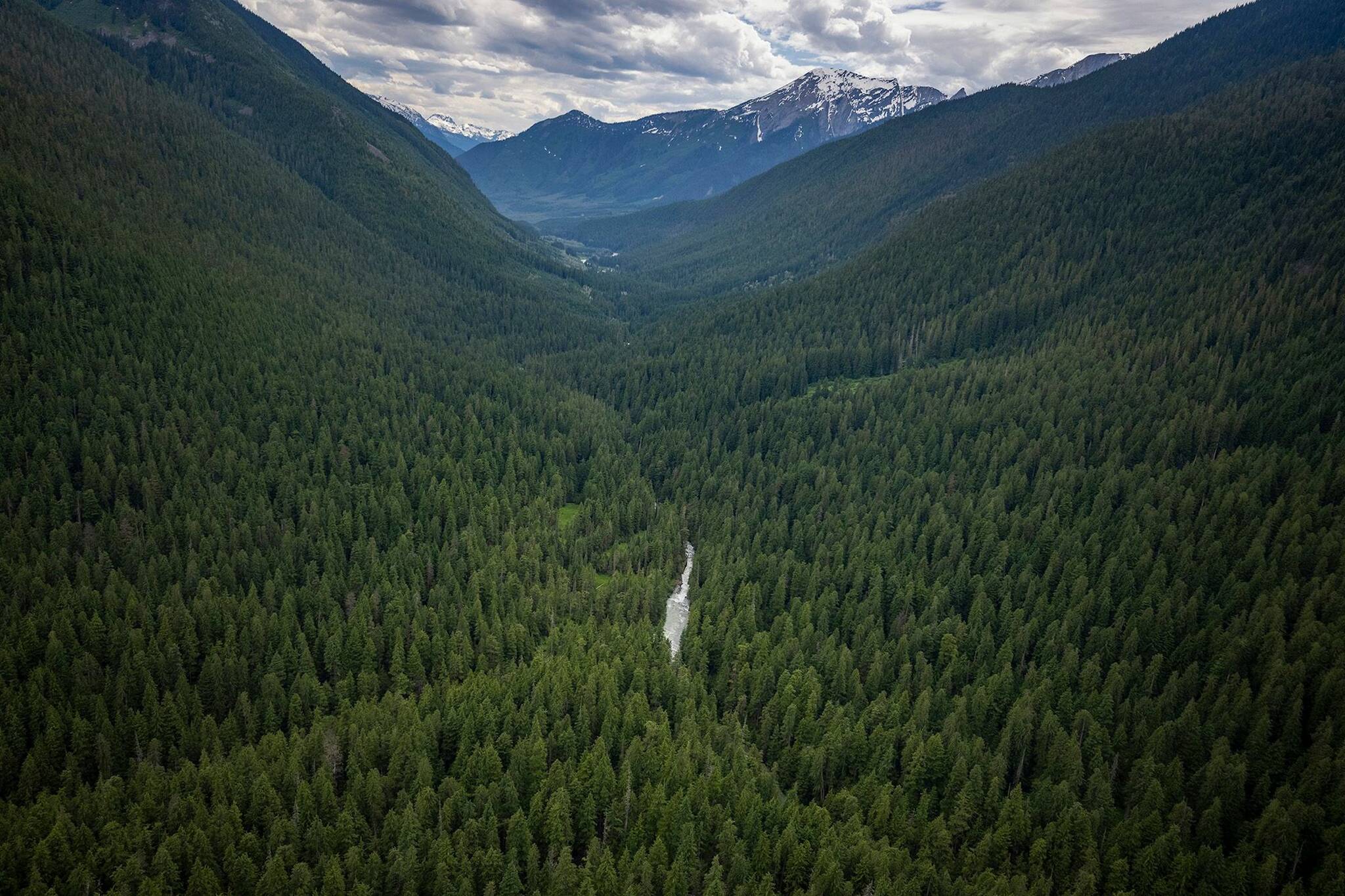Environmentalists praise the creation of a new conservancy area in the Incomappleux Valley near Revelstoke. (Photo courtesy of Paul Zizka)