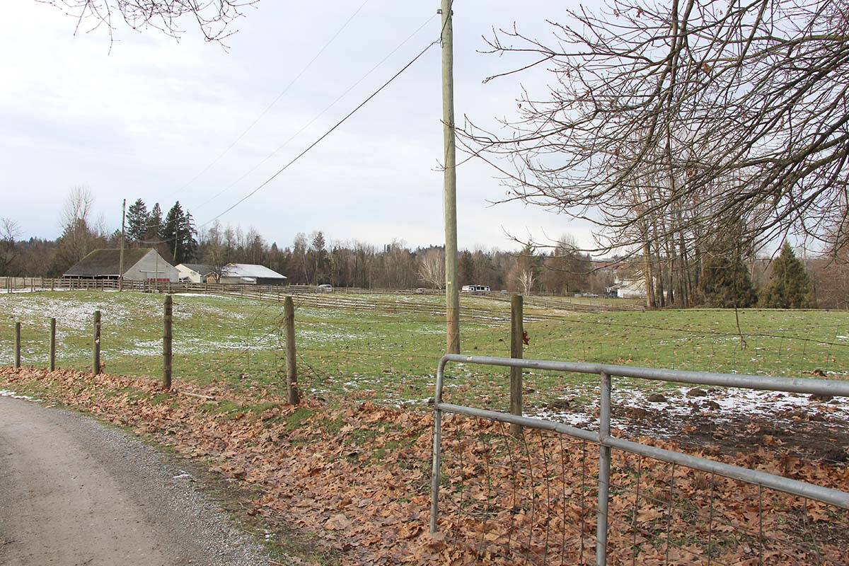 The body of a man was found early Friday morning (Feb. 3) at a large rural property on Nicholson Avenue in Abbotsford. (Vikki Hopes/Abbotsford News)