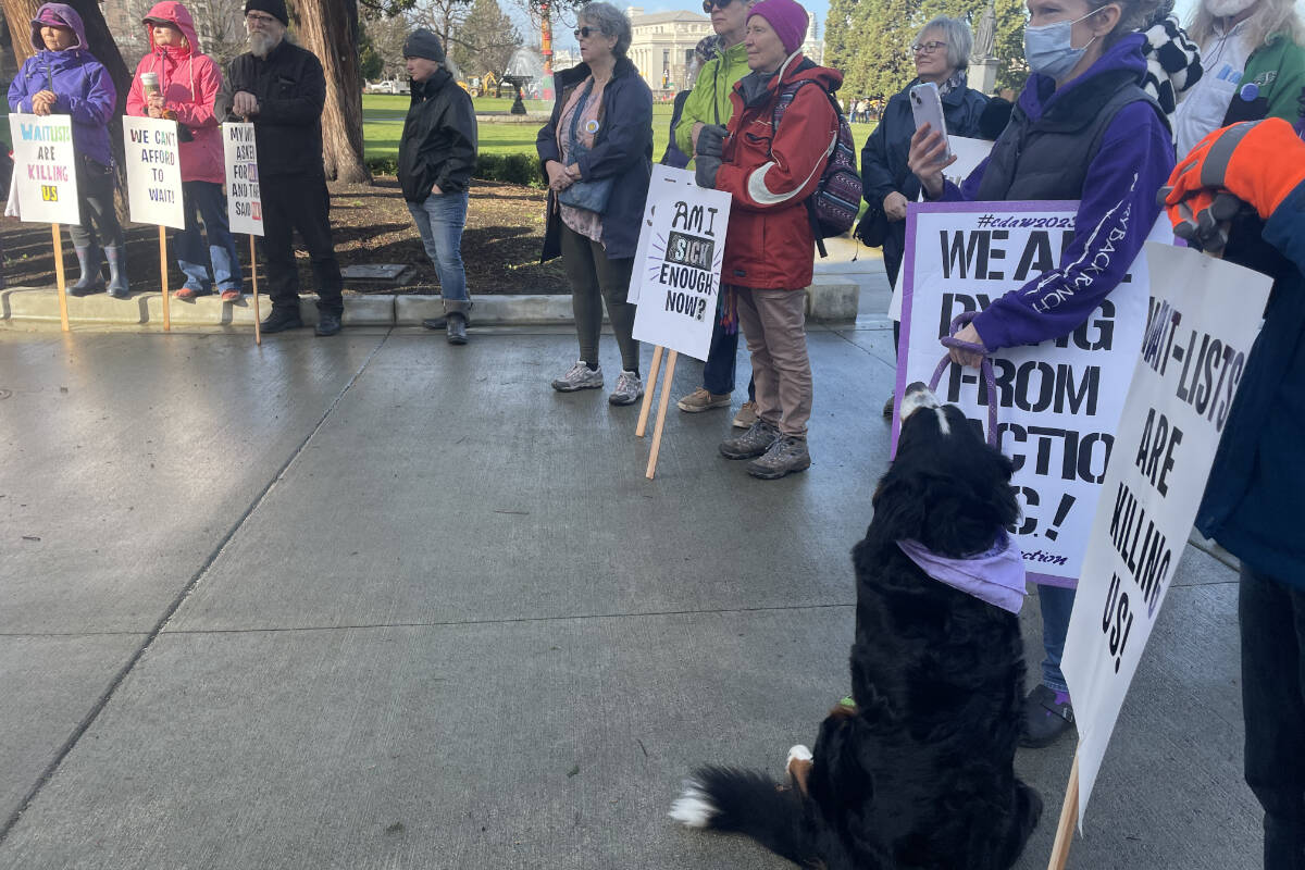 Protesters held a rally at the B.C. Legislature Feb. 7 to call for action, awareness and services for adults who have eating disorders. (Hollie Ferguson/News Staff)