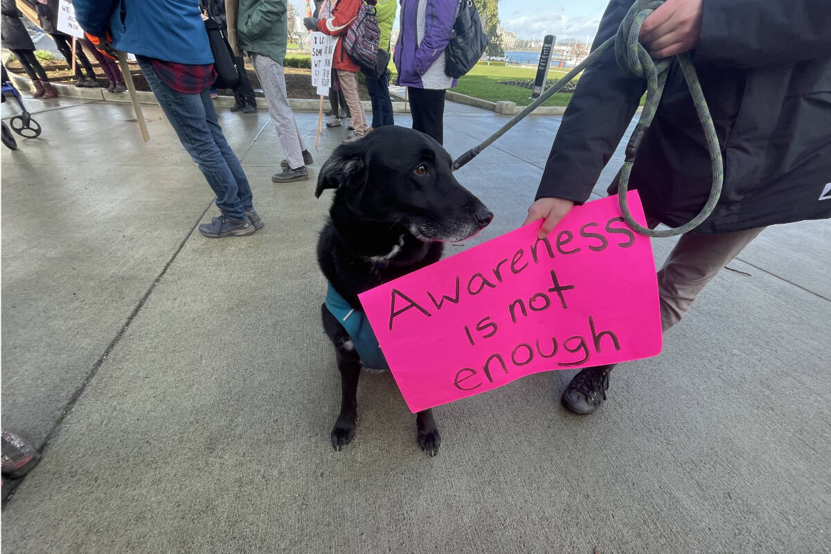 Ebony’s owner holds up a sign with the slogan “Awareness is not enough”. (Hollie Ferguson/News Staff)