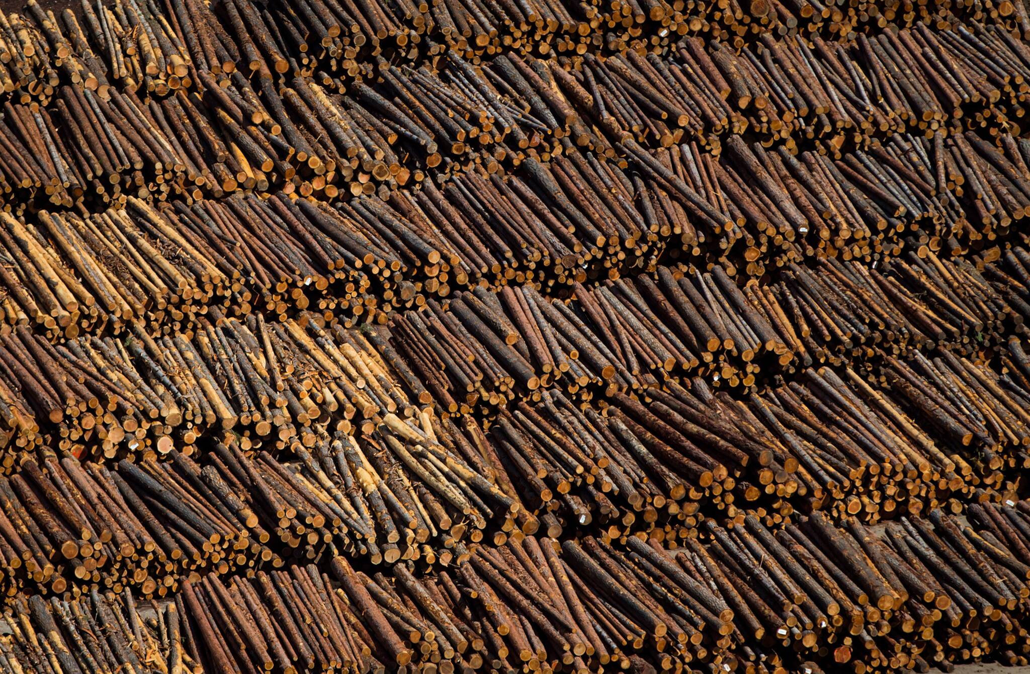 The many pressures on B.C.’s forests and the rural and northern communities that directly depend on them are coming to a head this spring, with sawmill, pellet and pulp closures set to affect hundreds of workers in different corners of the province. Logs are seen in an aerial view stacked at the Interfor sawmill, in Grand Forks, B.C., on May 12, 2018. THE CANADIAN PRESS/Darryl Dyck