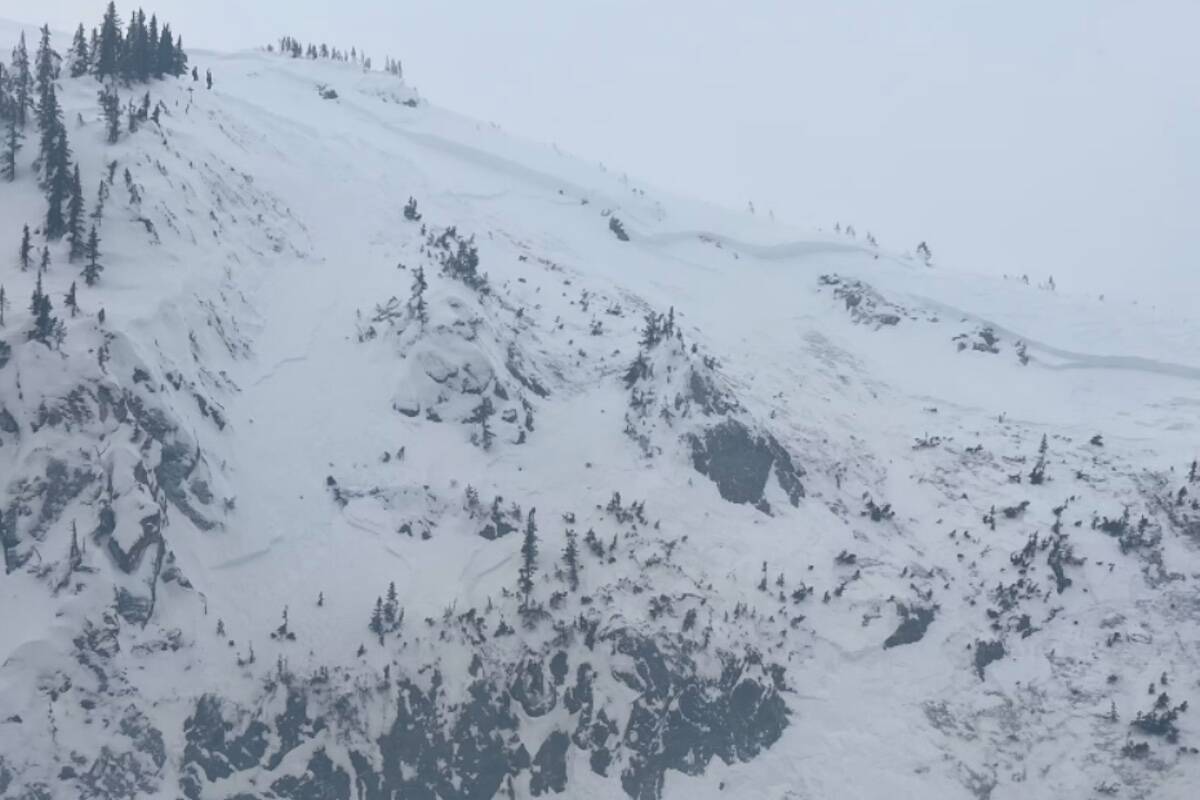 Area showing the upper portion of the avalanche including the crown. (Avalanche Canada)