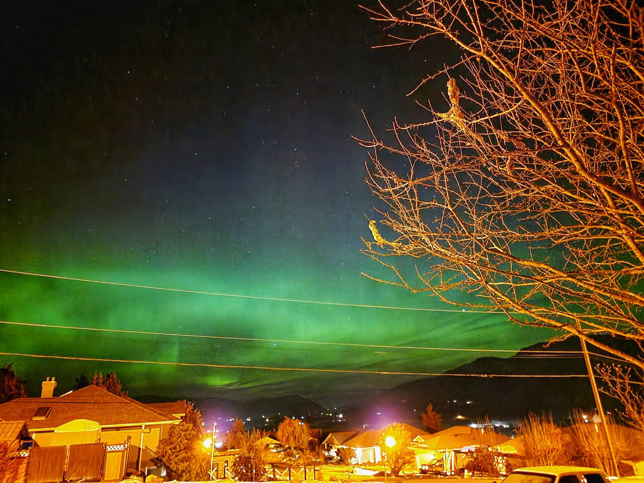 Northern Lights are captured over Enderby Feb. 14. (Laura Madhok photo)