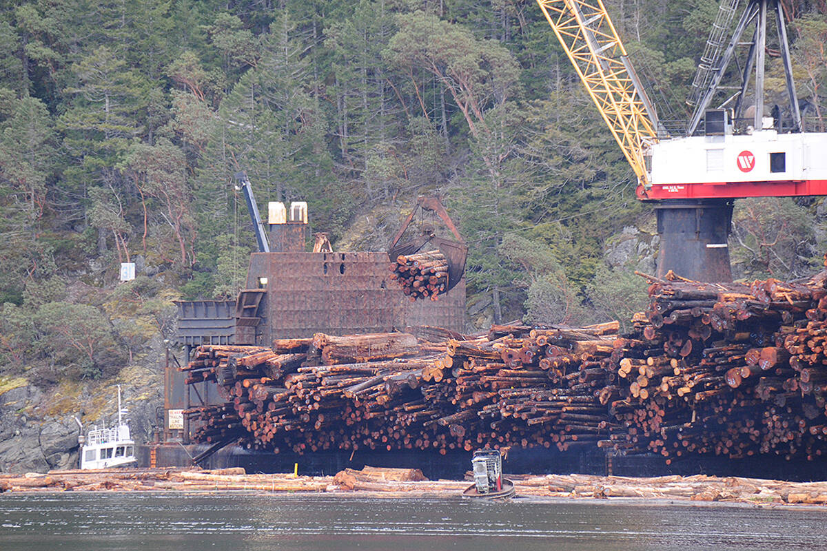 Raw logs are loaded onto a logging ship from a log sort down the Alberni Inlet in March 2019. SUSAN QUINN/ Alberni Valley News