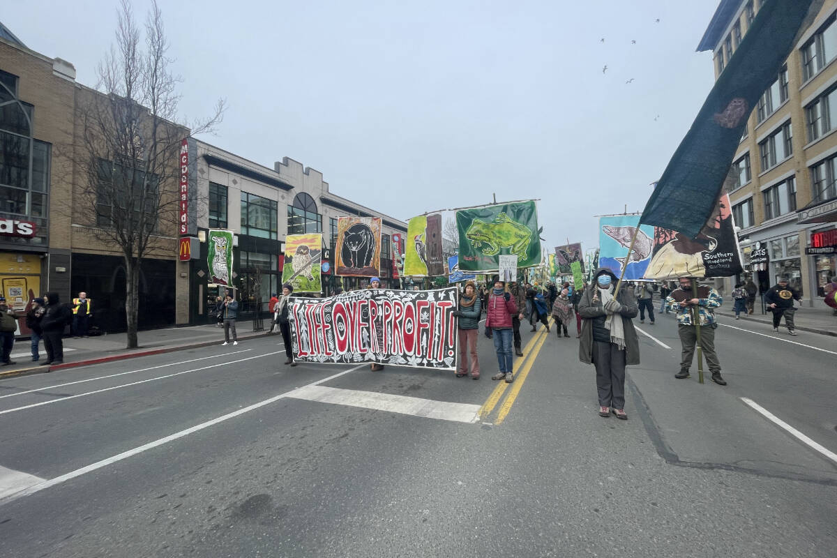 Hundreds turned up to support old growth protections during the march and rally on Feb. 25. (Hollie Ferguson/News Staff)