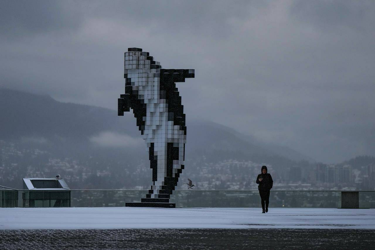 A woman walks past Douglas Coupland’s Digital Orca statue as light snow falls in Vancouver, on Tuesday, Jan. 31, 2023. Environment Canada has expanded a snowfall warning to cover most of Greater Vancouver. THE CANADIAN PRESS/Darryl Dyck