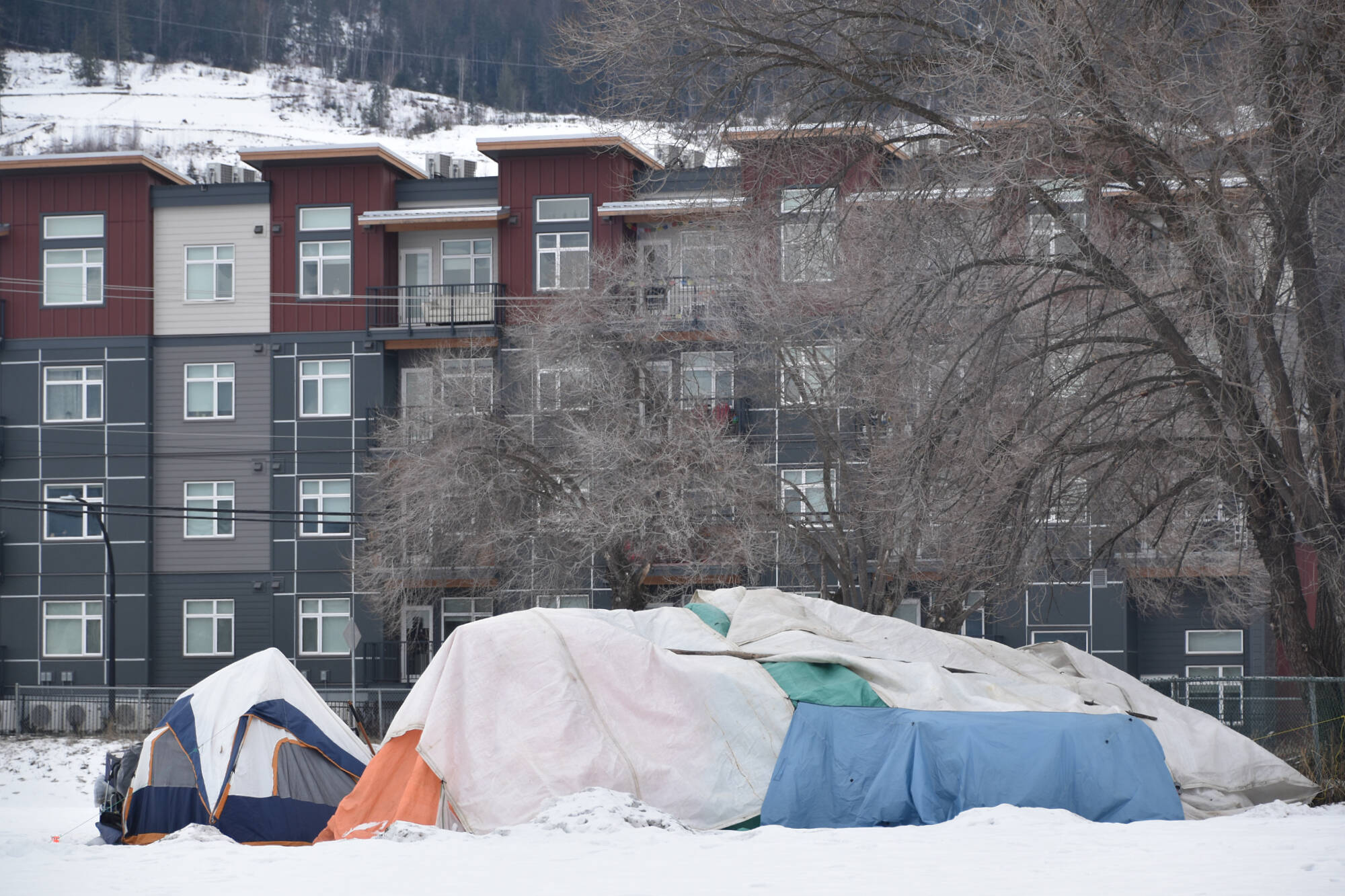City council decided on Feb. 27 that a tent encampment on 3rd Street SW, across from the Salvation Army building in Salmon Arm, must be moved by March 15.
(Martha Wickett /Salmon Arm Observer)