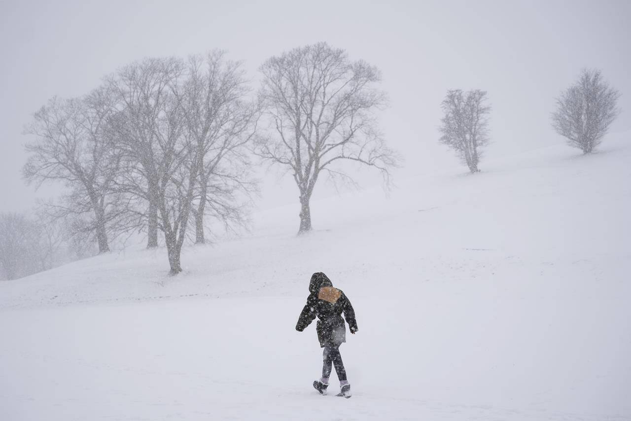 A pedestrian makes their way through a snowstorm in Halifax on Tuesday, January 31, 2023. A top meteorologist says a Canadian winter that lacked commitment earlier in the season is expected to finish strong before spring’s sluggish arrival. THE CANADIAN PRESS/Darren Calabrese