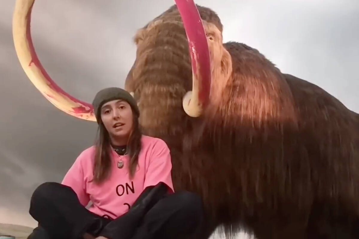 A protester can be seen in front of a pink-tusked mammoth on display inside the Royal B.C. Museum in Victoria. (On2Ottawa/Twitter)