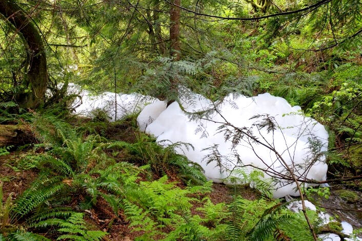 Detergent foam built up on Clayburn Creek after a company used Tide detergent to clean roof moss off a townhouse complex in Abbotsford in April 2021. A company has now been fined $8,900 by the ministry of environment. (Tom Ulanowski/Facebook)
