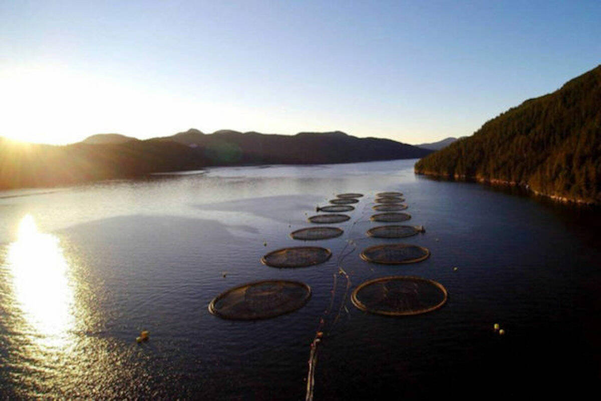 Mowi Canada West salmon farm. (Mowi photo)